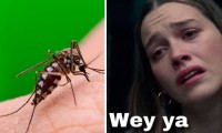 Salud alerta de tendencia a la alza de contagios de Dengue en Puebla