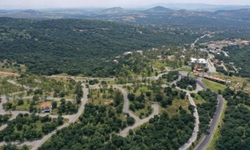 Está considerada uno de los pulmones de la capital poblana y refugio de especies endémicas. 