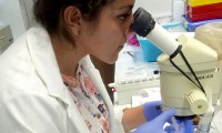 Investigadora BUAP busca alteraciones en células para evitar la diabetes mellitus tipo 2 