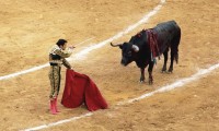 Entre descalificaciones de empresarios taurinos, iniciaron foros para prohibir corridas de toros