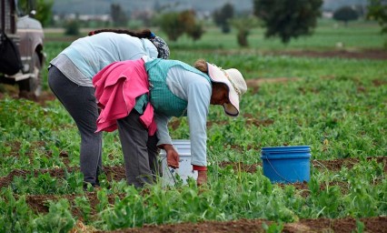 Piden a Desarrollo Rural que implemente laboratorios para mapeo de suelo