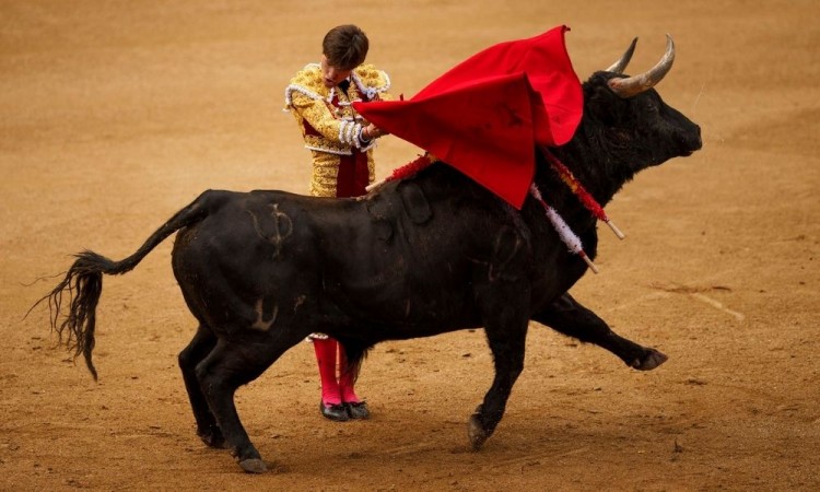 Hasta enero definirán prohibición de corridas de toros en la capital