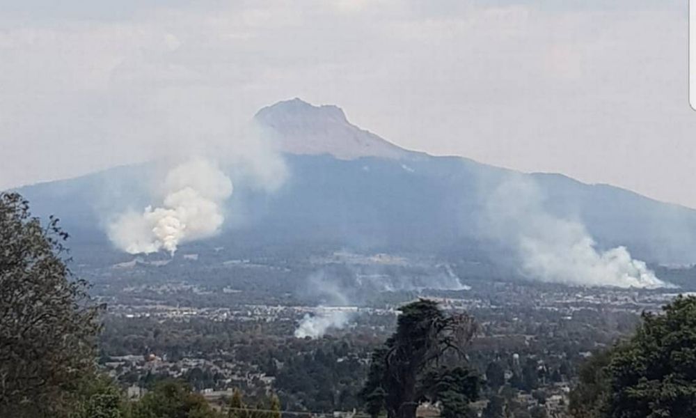 CONAFOR y Secretaría de Medio Ambiente alistan temporada de incendios 