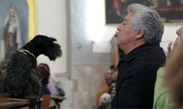 Con celebración atípica bendicen a mascotas en San Antonio Abad 