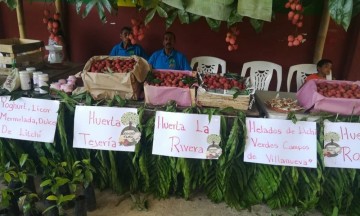 Con investigación, BUAP busca detonar la agricultura en la Sierra Norte y Tecamachalco 