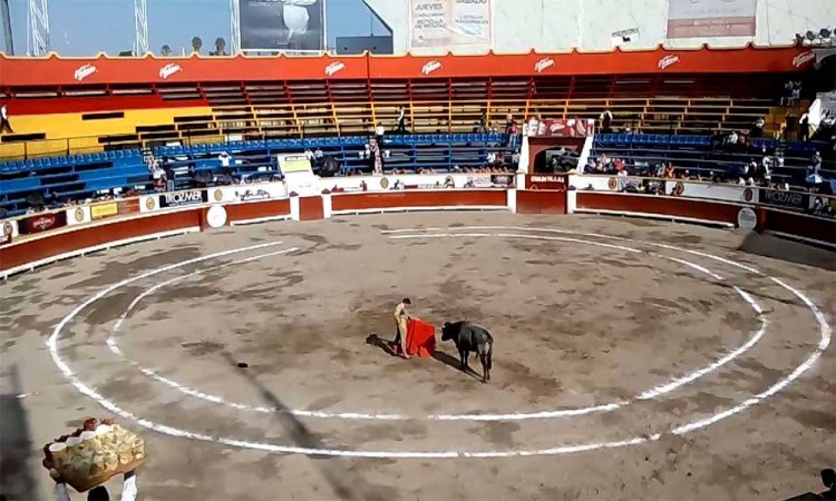 Aprueban en Comisión prohibición de corridas de toros en Puebla