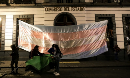 Vuelven a tomar el Congreso ante incumplimiento de la Ley Agnes 