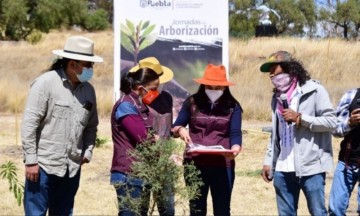 Arranca arborización 2021 en el Cerro de Amalucan 