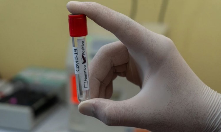 Reitera Barbosa sanciones para fraudes con pseudo vacunas contra Covid-19