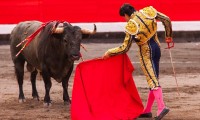 Puebla se queda taurina: no avanza prohibición para las corridas en la capital