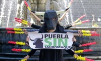 Seguiremos luchando porque se prohíban corridas de toros en Puebla: Animal Héroes 