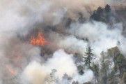 Incendio forestal consume más de 4 hectáreas en la Sierra Negra