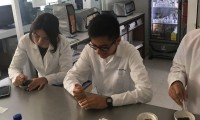 Investigadores BUAP obtienen biopolímero de aloe vera para elaborar bioplástico