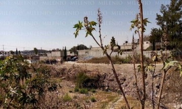 Antorcha niega invasión en Lomas de San Miguel