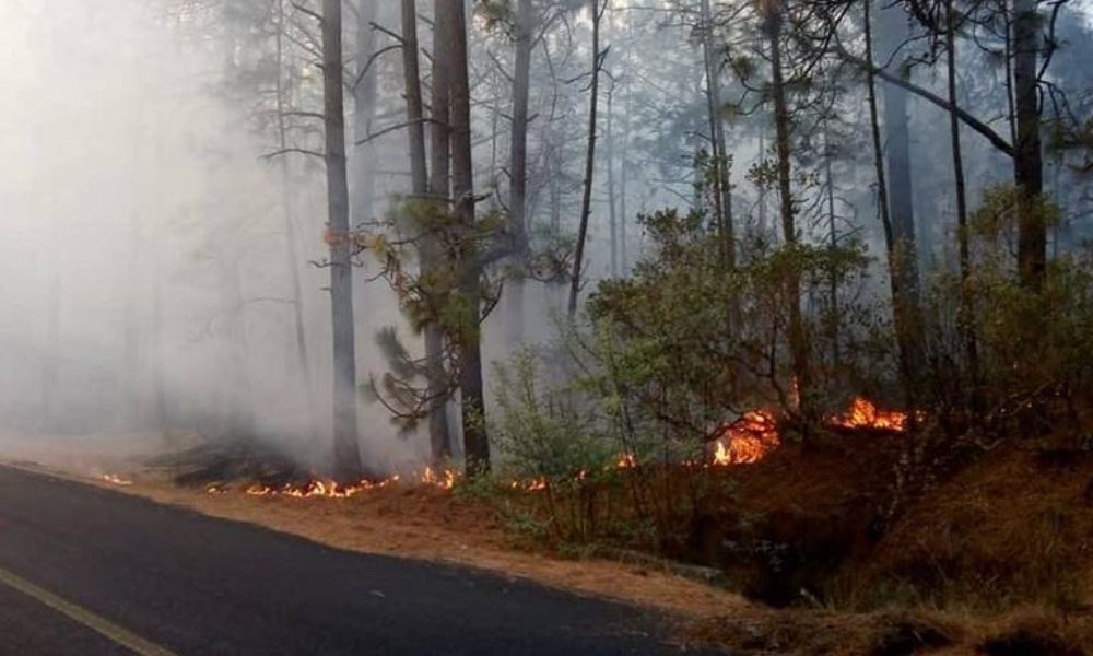 Incendios forestales afectan aire de Puebla