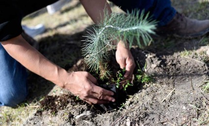 Buap invita a ciudadanos a adoptar un árbol 