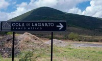 Logran recuperar 100 hectáreas de Cola de Lagarto