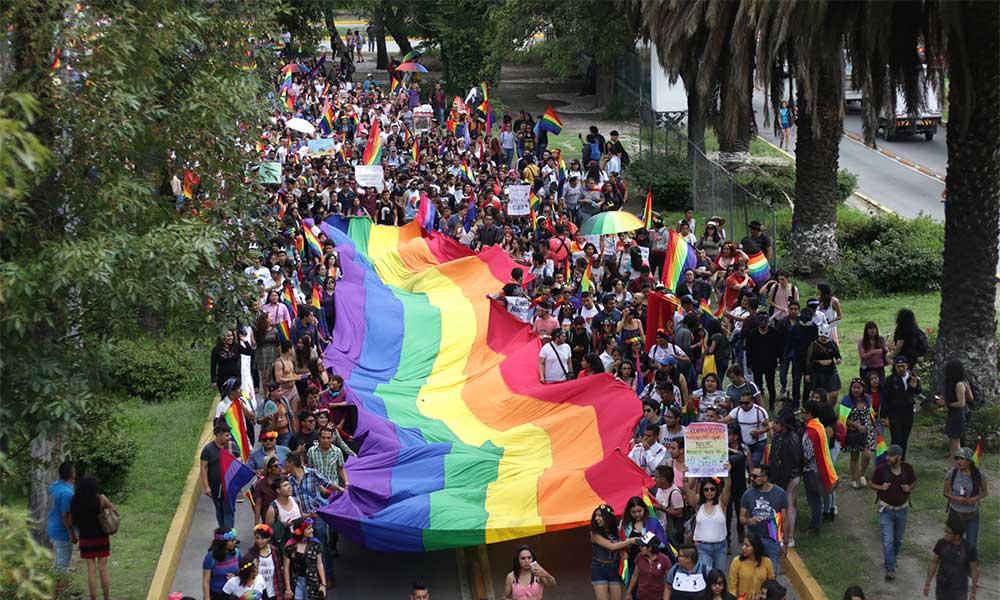  Comunidad LGBT+ preocupados por impugnación contra Ley Agnes