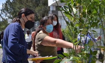 Como parte de programa Adopta un árbol, rector Buap entrega más de 800 especies 