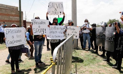 Si Protección Civil no quiere rescatar a los perros del socavón, que nos dejen a nosotros: defensores de animales 