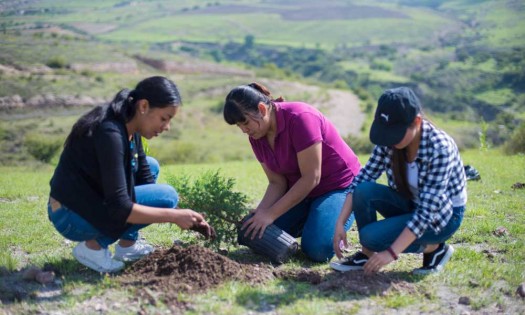 Imparte BUAP Diplomado en Educación para el Desarrollo Sostenible