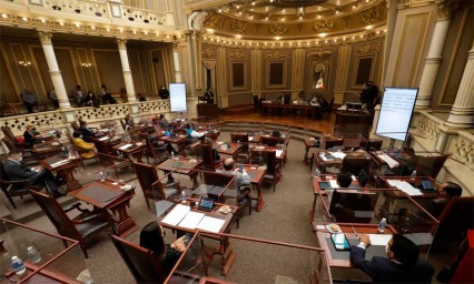 Diputados aprueban dictámenes sobre Medio Ambiente y Bienestar Animal