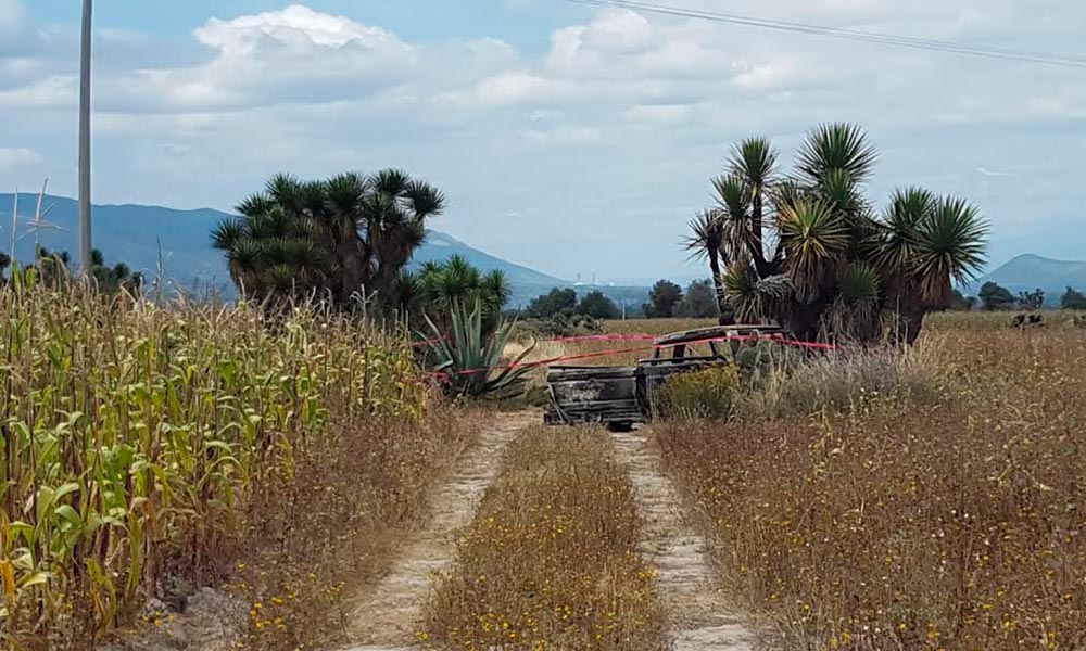 Hallan un calcinado en Palmar de Bravo