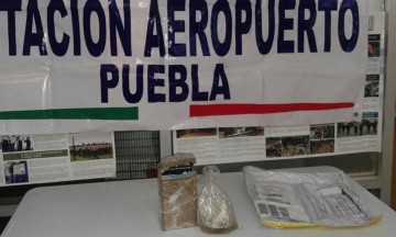 Aseguran piezas de coral marino