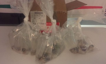 Decomisan 5 kilos de coral marino