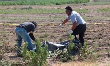 Abandonan a degollado en la Mixteca