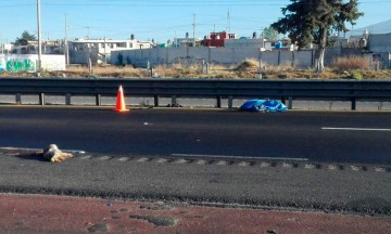 Embisten a masculino en la autopista