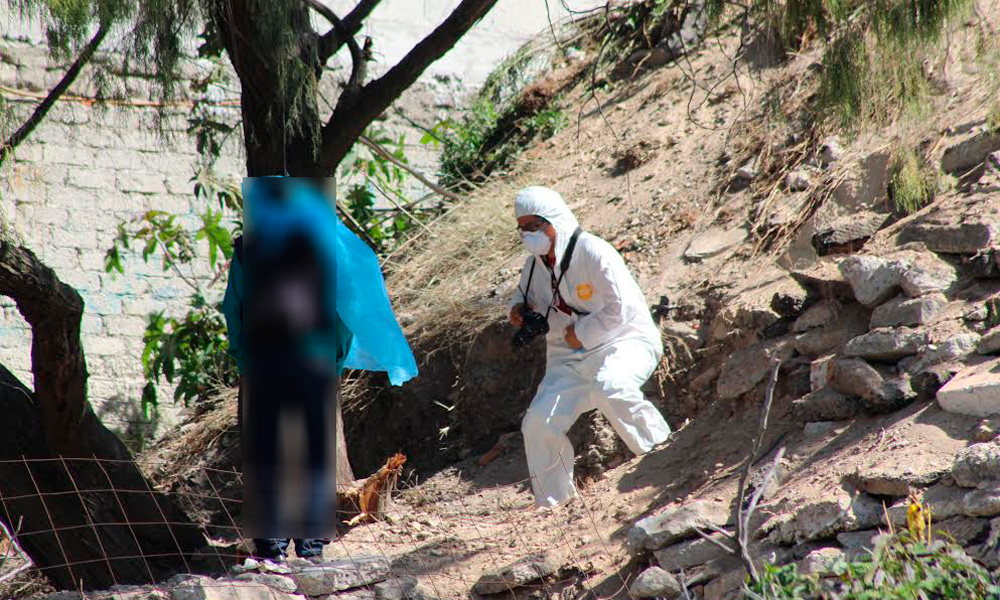 Encuentran tétrica sorpresa en San Miguel