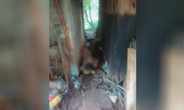 Disparan en la nuca a ranchero