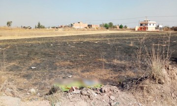Amanece muerto ebrio de Coronango