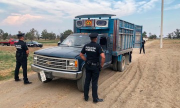 Enfrentan huachicoleros a policías federales