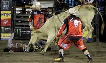 Fallece participante en jaripeo; lo tiró un toro