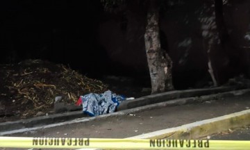 Fallece de certero escopetazo 