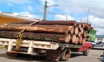 Detiene Ejército camionetas con madera ilegal