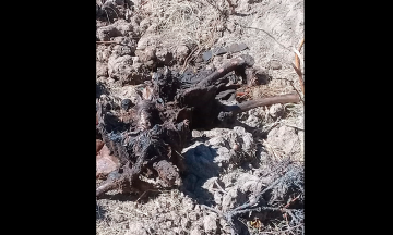 Hallan más restos humanos en Pozo de Miahuatlán