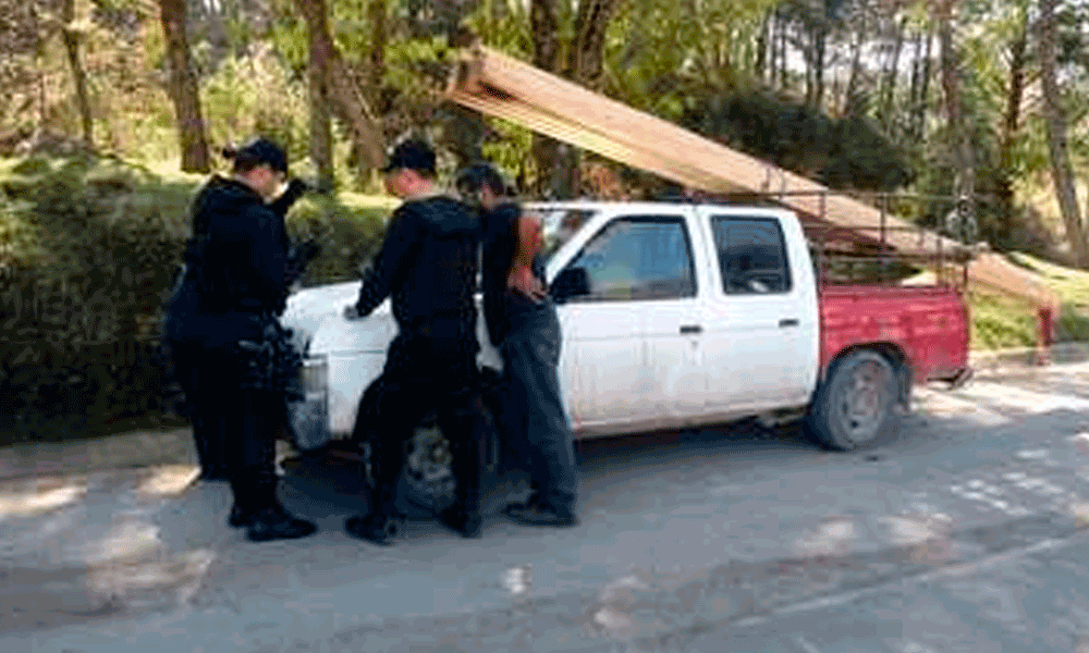 Detienen a contrabandista de madera en la Sierra Nororiental