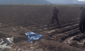 Hallan occiso campos de cultivo en Izúcar