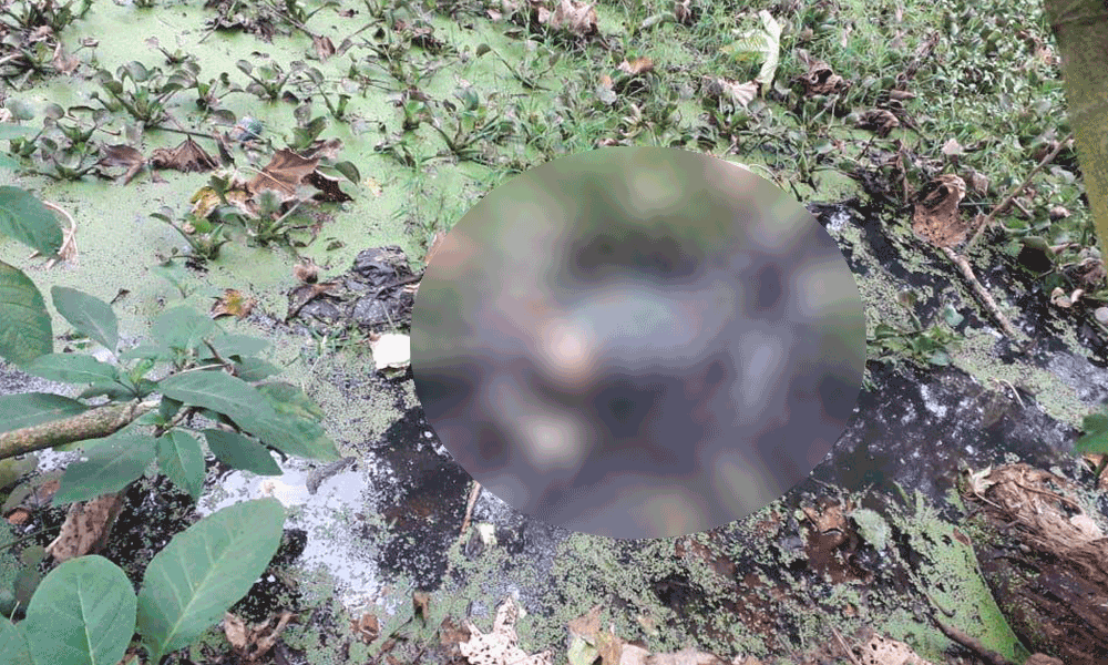 Encuentran cuerpo de mujer en aguas negras de Huauchinango