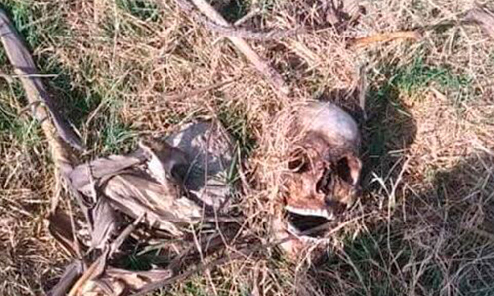Aparece osamenta en campos de cultivo