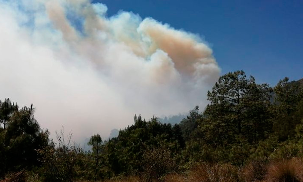 Registran incendio forestal en Zautla