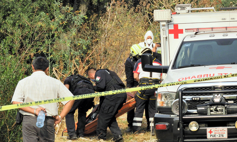 Muere hombre al caer de árbol en Zacatlán