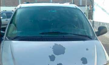 Aseguran a 3 polleros y 12 indocumentados en Tehuacán 