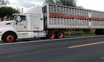 Roban tractocamión con ganado en la Puebla-Tehuacán