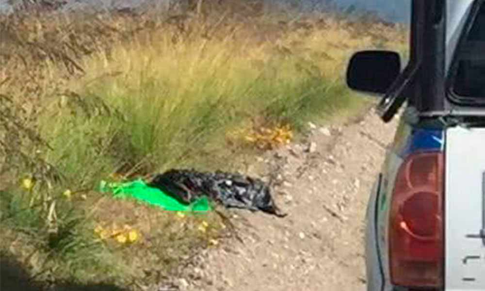 Encuentran restos humanos embolsados en San Antonio Las Cuchillas