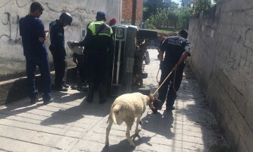 Se vuelcan tras robar un tanque de gas LP en La Galarza