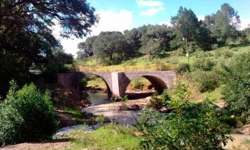 Semana roja: Ejecutan a cuatro en Zacatlán